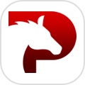 Pegaxy